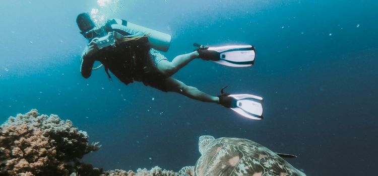 Discover the Unrivaled Splendor of Kauai Snorkeling