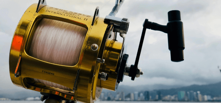 How to Choose the Best Spincast Reel