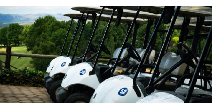 Features of Icon Golf Carts