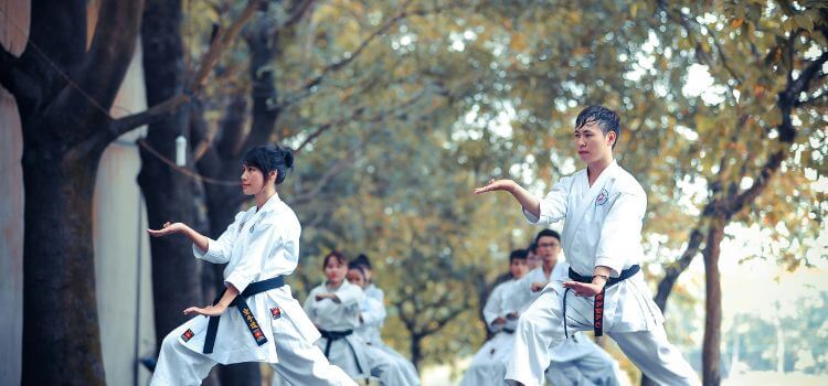Key Features of A Plus Martial Arts