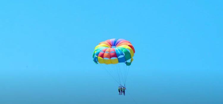 The Impact of What Color Is Your Parachute