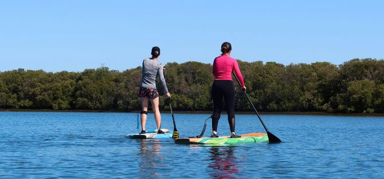 Best Time to Paddleboard in San Diego