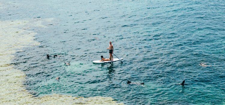 Tips for Making Paddle Boarding Easier