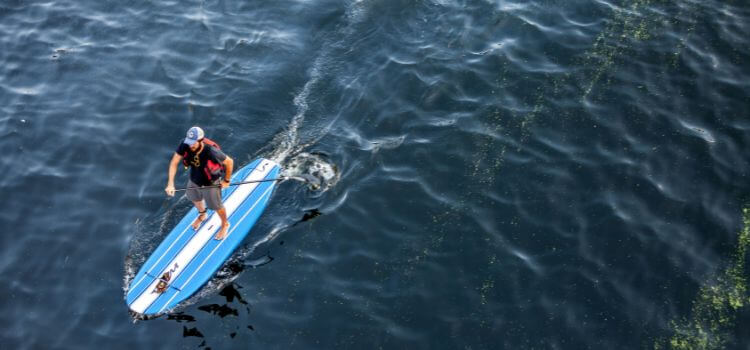 What Is Paddle Boarding That