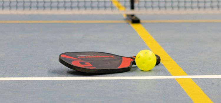 What Makes a Great Pickleball Paddle